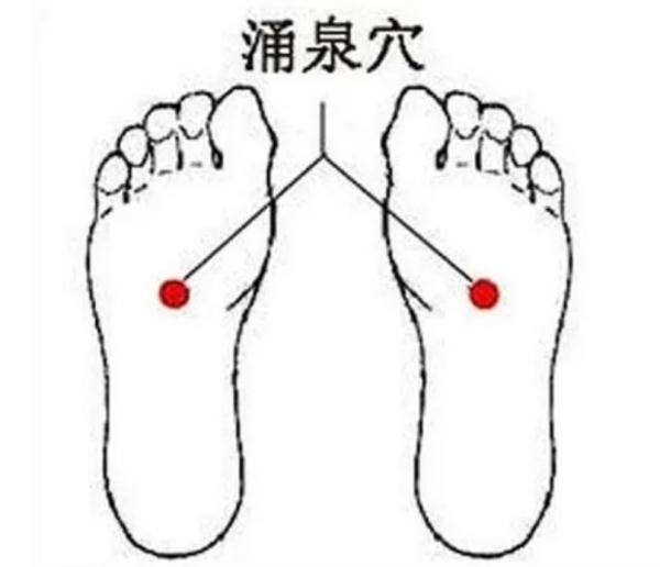 今日入伏,最难熬的40天来了!建议:吃3豆,炖1肉,解暑祛湿,补虚健脾,安稳过伏天! 今日入伏,最难熬的40天来了!建议:吃3豆,炖1肉,解暑祛湿,补虚健脾,安稳过伏天!
