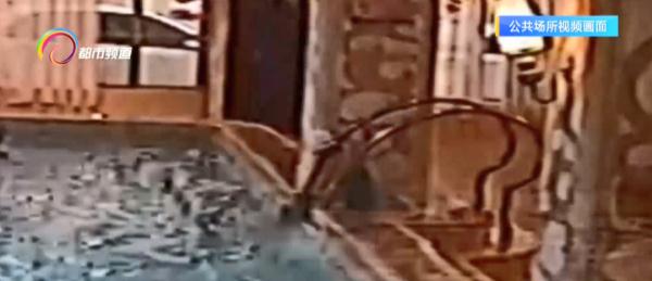 女孩游泳馆试课意外溺亡！法院判决……