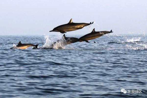 中国航海日,人民海军乘风破浪勇向前 中国航海日,人民海军乘风破浪勇向前