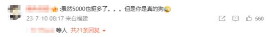 悬赏千万寻狗找到后只付5000，网友们坐不住了…