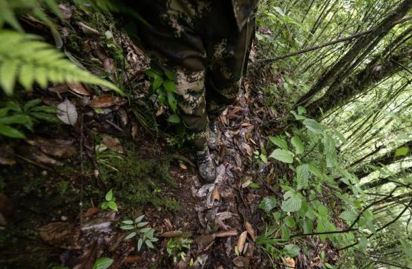 身上几十条蚂蝗、蜱虫往肉里钻……他们的故事看得让人心疼！