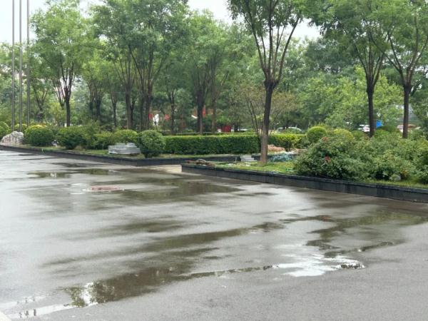 雨没完！雷阵雨+大雨+暴雨，河北未来两天……