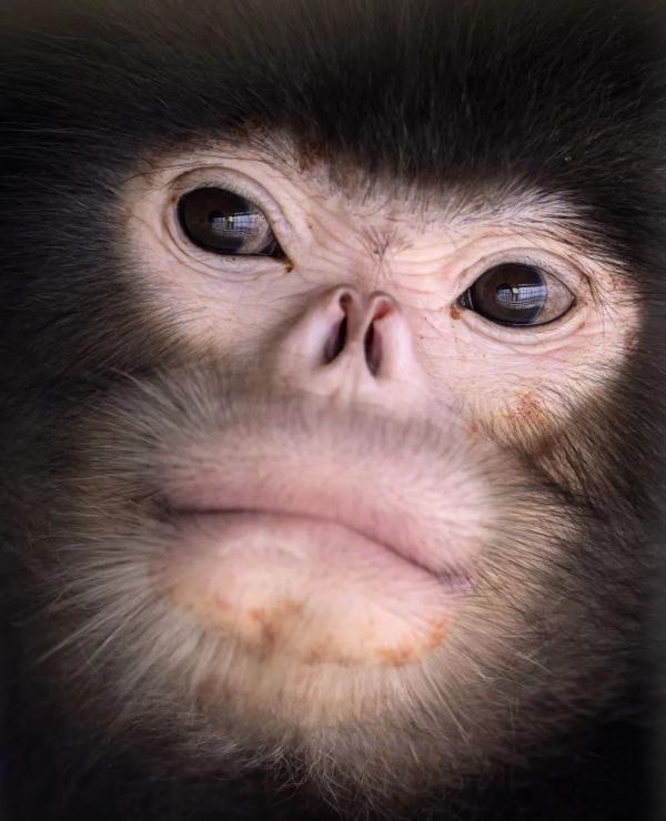 身上几十条蚂蝗、蜱虫往肉里钻……他们的故事看得让人心疼！