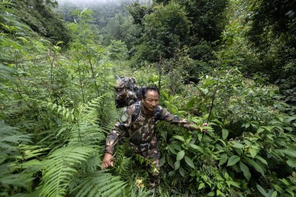 身上几十条蚂蝗、蜱虫往肉里钻……他们的故事看得让人心疼！