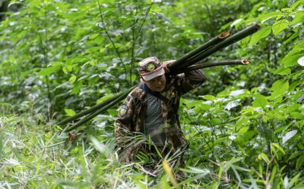 身上几十条蚂蝗、蜱虫往肉里钻……他们的故事看得让人心疼！