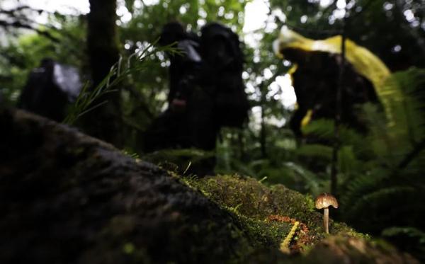 身上几十条蚂蝗、蜱虫往肉里钻……他们的故事看得让人心疼！