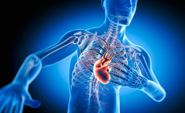 【自测】什么？“手劲大”的人心脏可能更健康？！一个动作帮你自测