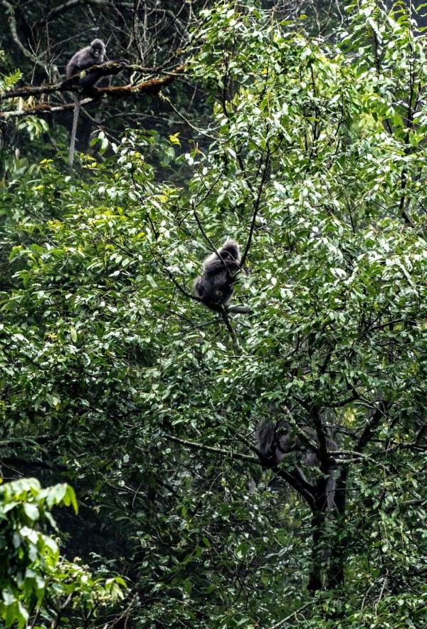身上几十条蚂蝗、蜱虫往肉里钻……他们的故事看得让人心疼！