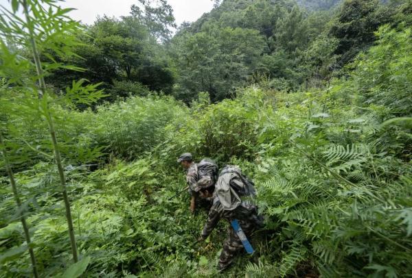 身上几十条蚂蝗、蜱虫往肉里钻……他们的故事看得让人心疼！