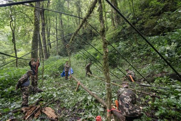 身上几十条蚂蝗、蜱虫往肉里钻……他们的故事看得让人心疼！