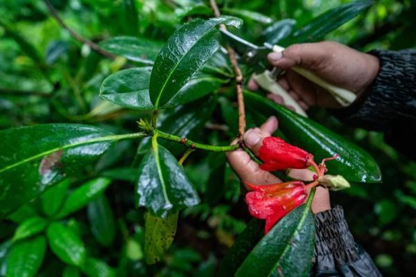 身上几十条蚂蝗、蜱虫往肉里钻……他们的故事看得让人心疼！