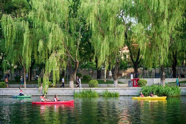 Citywalk最高收费258贵不贵？今夏年轻人新宠城市漫游引争议，网友：不就是遛弯？