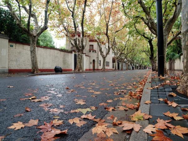 Citywalk最高收费258贵不贵？今夏年轻人新宠城市漫游引争议，网友：不就是遛弯？