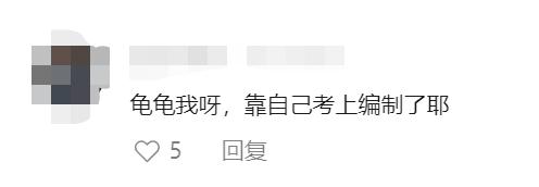上海小区惊现40厘米陆龟散步!已送交,网友:给自己找了个编制 上海小区惊现40厘米陆龟散步!已送交,网友:给自己找了个编制