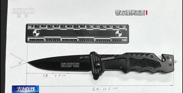 管制刀具、活体动物……注意！坐火车这些东西不能带