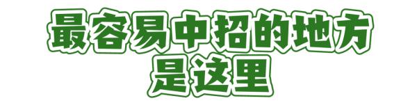 这个“吸血鬼”，比蚊子还猛还难缠！5招能治它