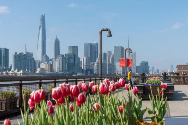 Citywalk最高收费258贵不贵？今夏年轻人新宠城市漫游引争议，网友：不就是遛弯？