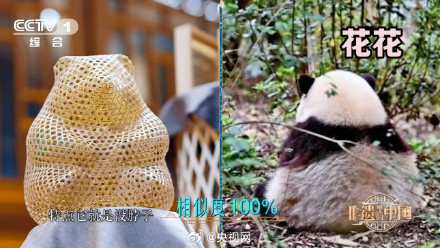 竹编花花主打一个没脖子 相似度满分