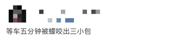 这个“吸血鬼”，比蚊子还猛还难缠！5招能治它