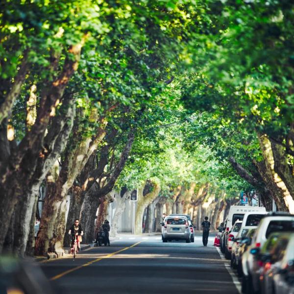 Citywalk最高收费258贵不贵？今夏年轻人新宠城市漫游引争议，网友：不就是遛弯？