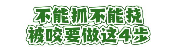 这个“吸血鬼”，比蚊子还猛还难缠！5招能治它