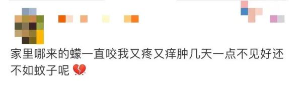 这个“吸血鬼”，比蚊子还猛还难缠！5招能治它