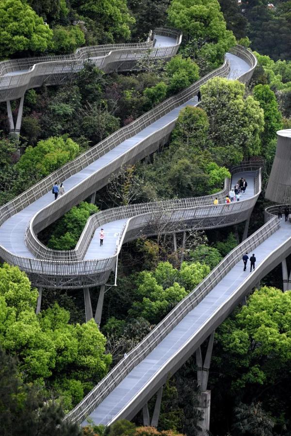 Citywalk最高收费258贵不贵？今夏年轻人新宠城市漫游引争议，网友：不就是遛弯？