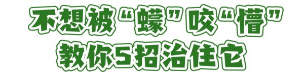 这个“吸血鬼”，比蚊子还猛还难缠！5招能治它