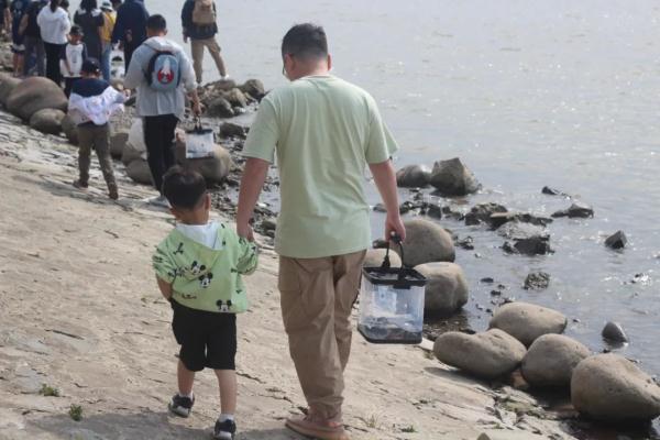 The number of finless porpoises living in Nanjing section of the Yangtze River reached 62, an increase of 24% over five years ago.