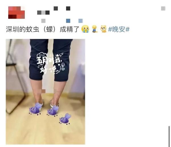 这个“吸血鬼”，比蚊子还猛还难缠！5招能治它