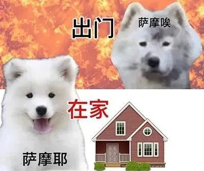 “隐藏服务”解锁！上海街头部分门店可免费提供冰水