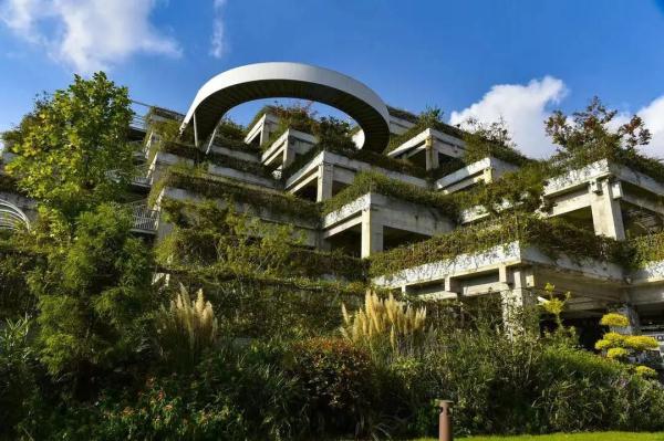 Citywalk最高收费258贵不贵？今夏年轻人新宠城市漫游引争议，网友：不就是遛弯？