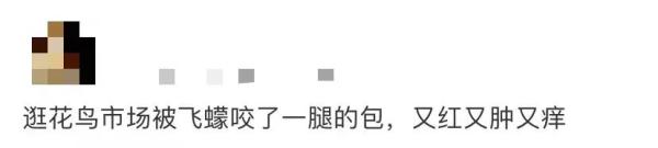 这个“吸血鬼”，比蚊子还猛还难缠！5招能治它