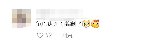 上海小区惊现40厘米陆龟散步!已送交,网友:给自己找了个编制 上海小区惊现40厘米陆龟散步!已送交,网友:给自己找了个编制