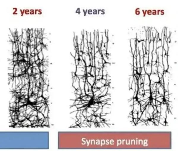 大脑为啥要删除3岁前的记忆?你小时候看见啥了? 大脑为啥要删除3岁前的记忆?你小时候看见啥了?