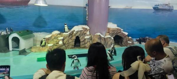 “来了就不想走”，7月全国多地频现高温，哈尔滨凉快得独树一帜