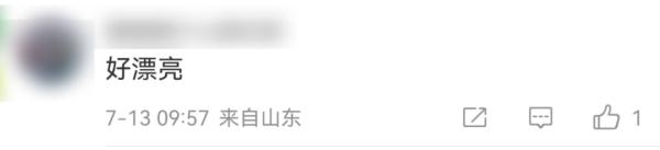 毛竹做的通知书里藏了一片银杏林！含8项专利