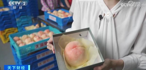 一颗508元？这种水果，卖爆了！