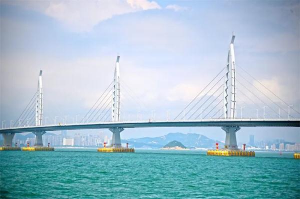吃“鲸”！香港海域又出现了→
