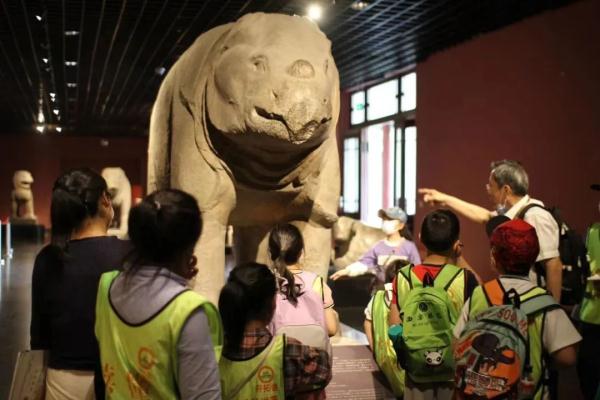 好导游,杨建 好导游,杨建