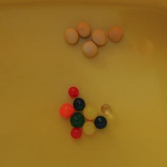 有毒性!长春疾控重要提醒! 有毒性!长春疾控重要提醒!