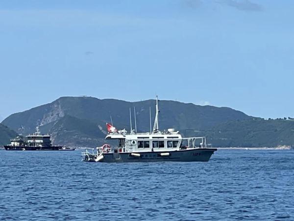 吃“鲸”！香港海域又出现了→