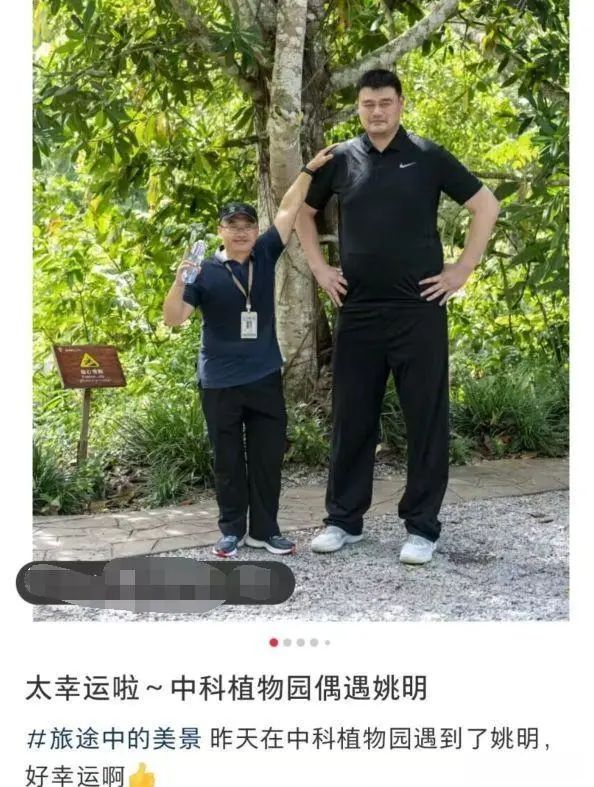 网友偶遇姚明一家出游：像极了老师和小学生合影