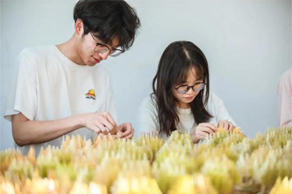 毛竹做的通知书里藏了一片银杏林！含8项专利