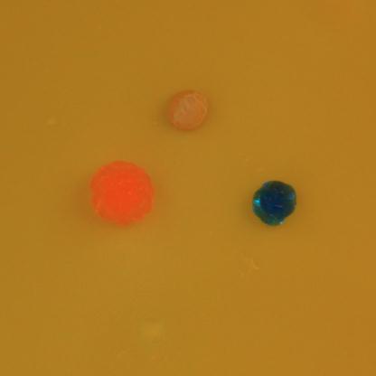 有毒性!长春疾控重要提醒! 有毒性!长春疾控重要提醒!