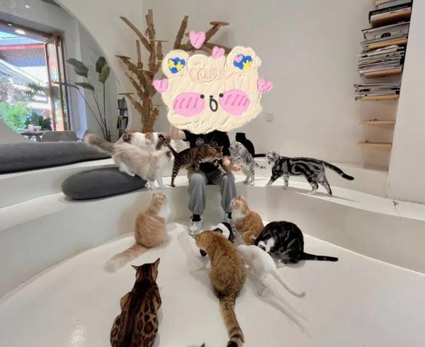 这项服务突然火了!有人兼职一周赚了上千元 这项服务突然火了!有人兼职一周赚了上千元