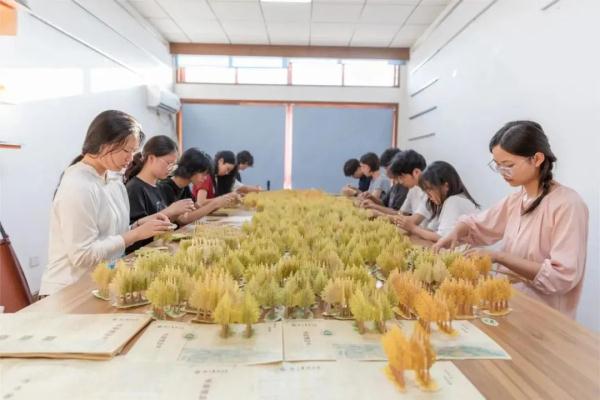 毛竹做的通知书里藏了一片银杏林！含8项专利