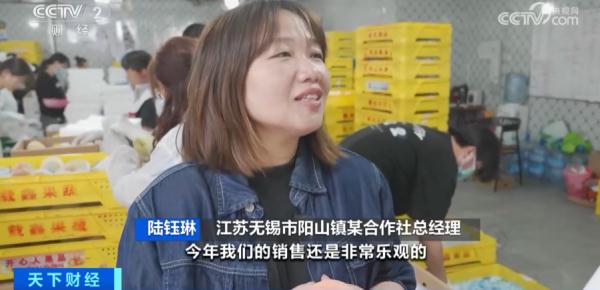 一颗508元？这种水果，卖爆了！