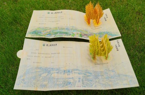 毛竹做的通知书里藏了一片银杏林！含8项专利