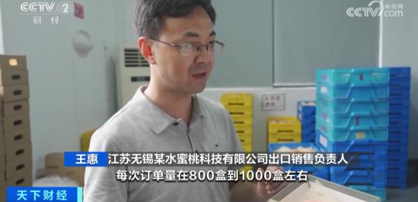 一颗508元？这种水果，卖爆了！